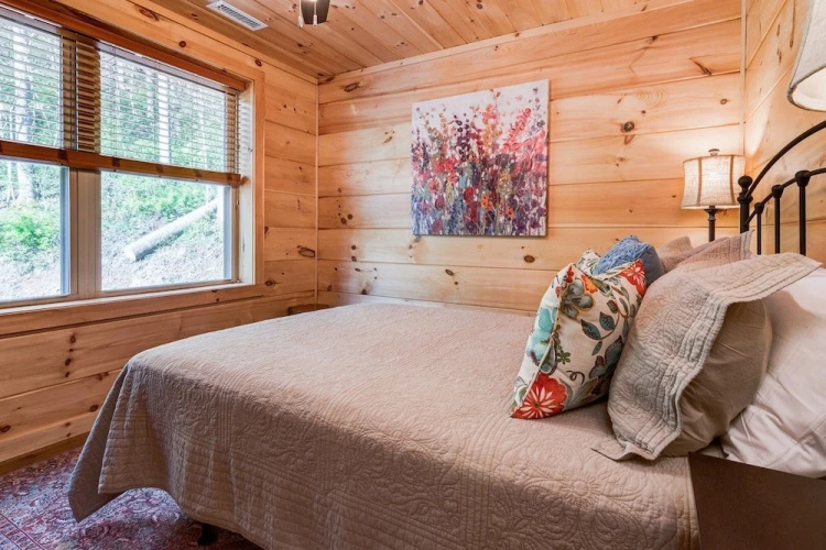Lakey Gap Lodge - 4 Br Cabin