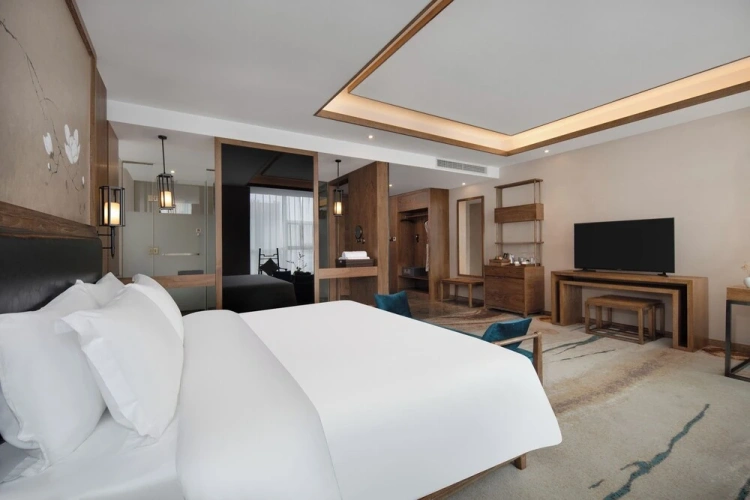 Deluxe Double room with city view