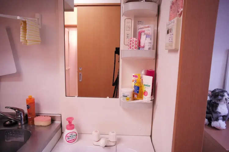 Hosei apartment 301