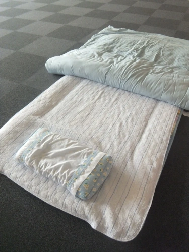 Bed in Dorm (male dorm)