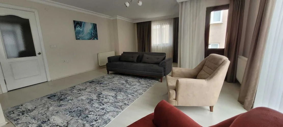 aronya istanbul