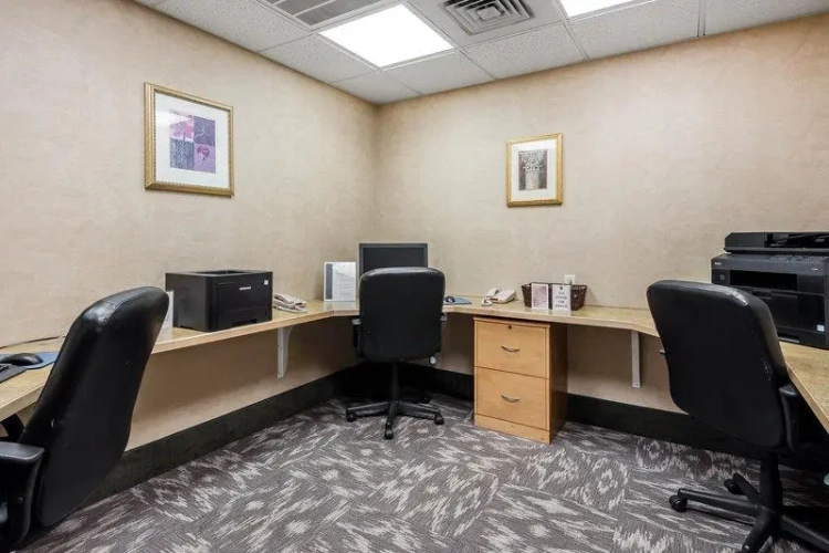 1 Bedroom Suite
