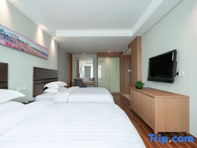 Standard Double room with city view