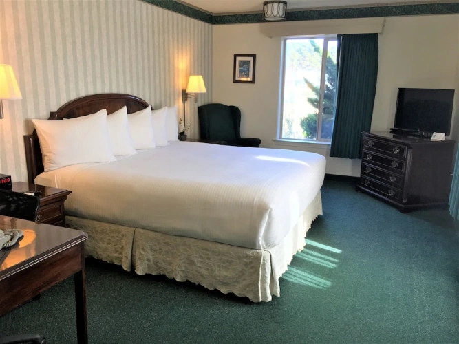 Comfort Double Suite