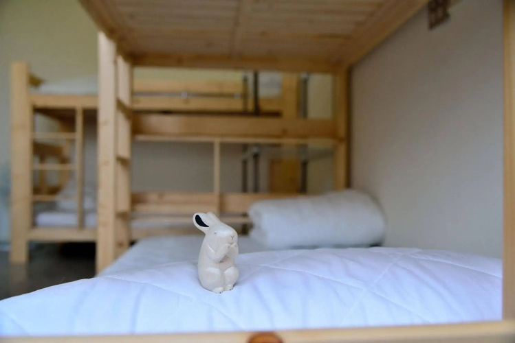 Bubbling Bunny Café - Hostel