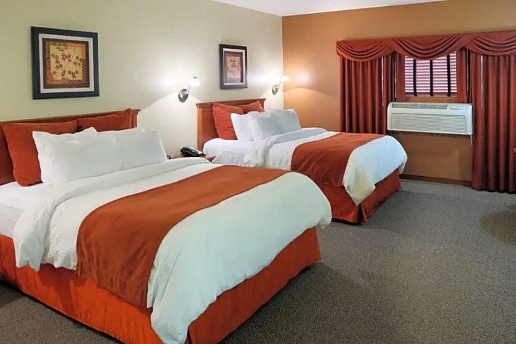 Standard Double room