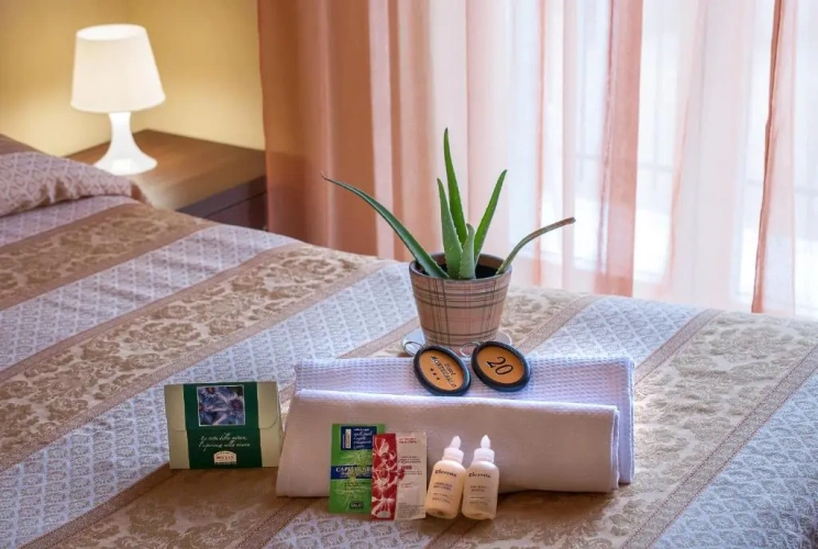 Standard Single room