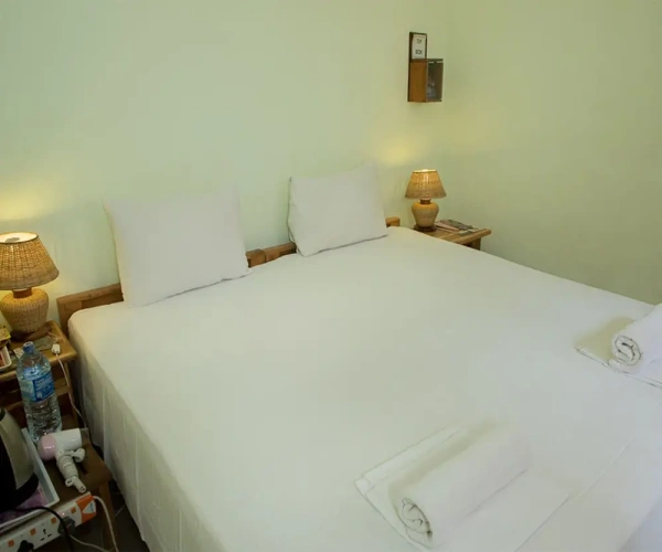1 Bedroom Standard Double room with park view