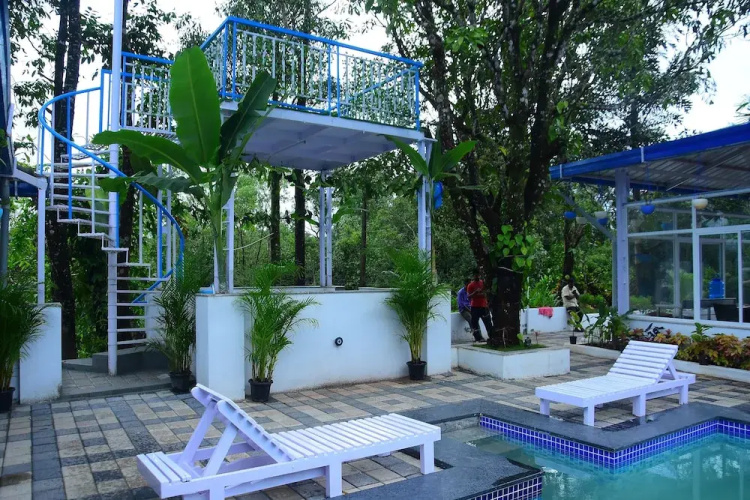 Buddha Tree Home Stay