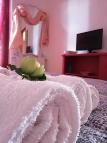 GM Apartment
