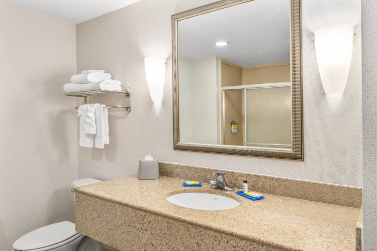 Holiday Inn Express Hotel & Suites Wilmington-Newark photo 12