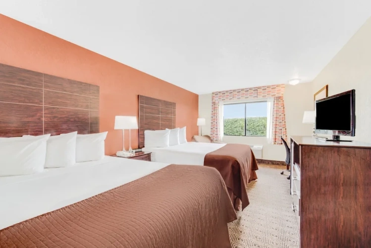 Business Quadruple Suite