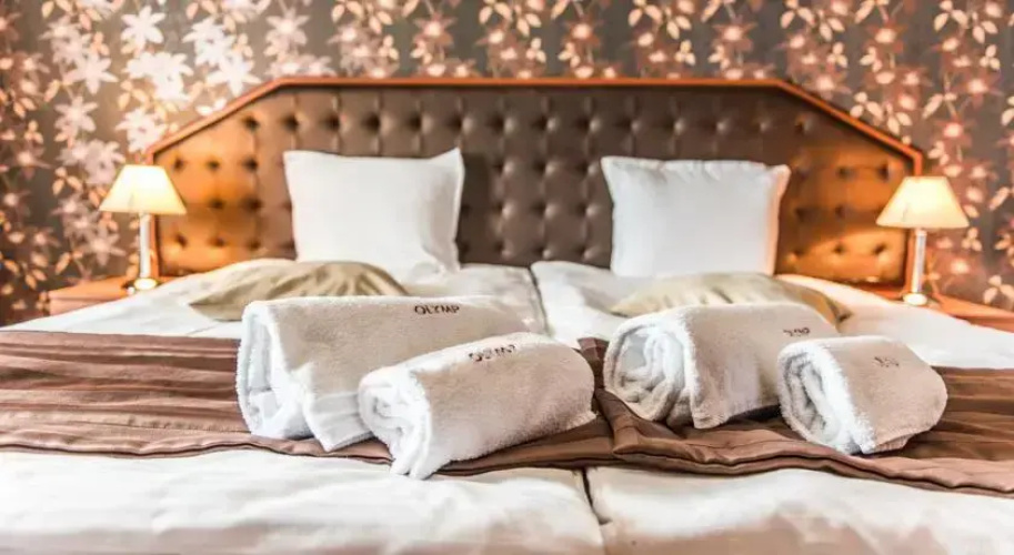 Park Hotel Olymp
