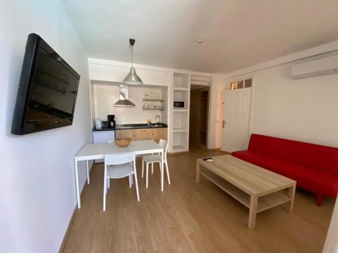 1 Bedroom Apartment