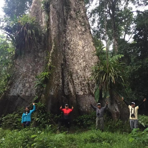 Jacamar Lodge Expedition
