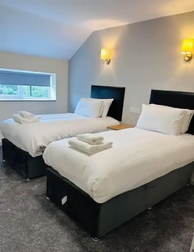 Economy Twin room