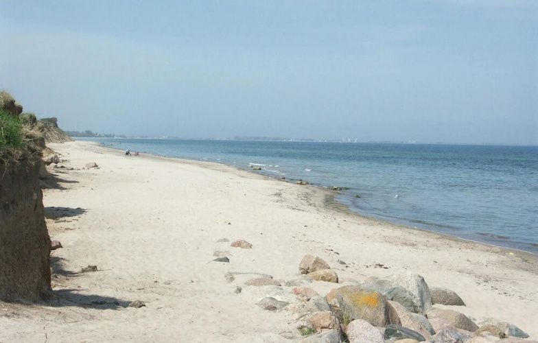 Seelöwe