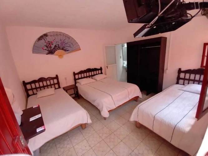1 Bedroom Standard Quadruple Family room