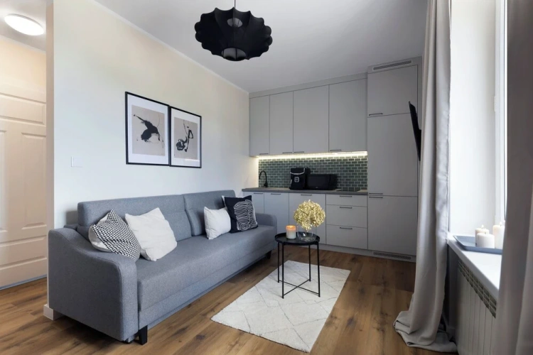 Comfort Apartment