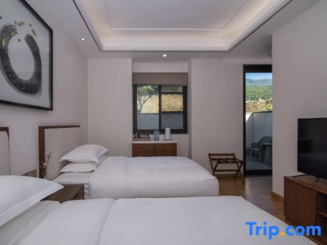 Twin Suite
