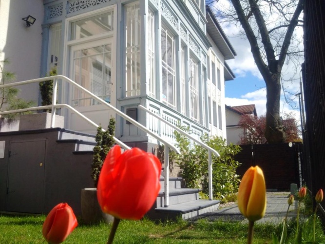 Superior Apartment