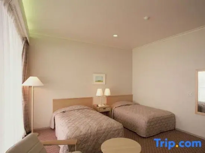 Standard Twin room with lake view