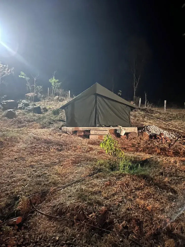 Wilderness Jungle Camp