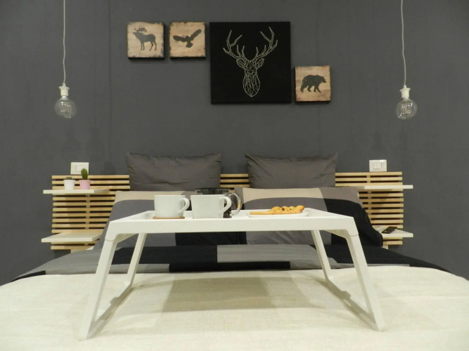 Mola Rooms