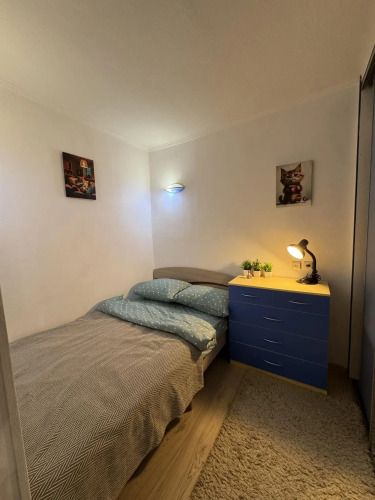 Фотография номера квартиры Апартаменты на улице Серова