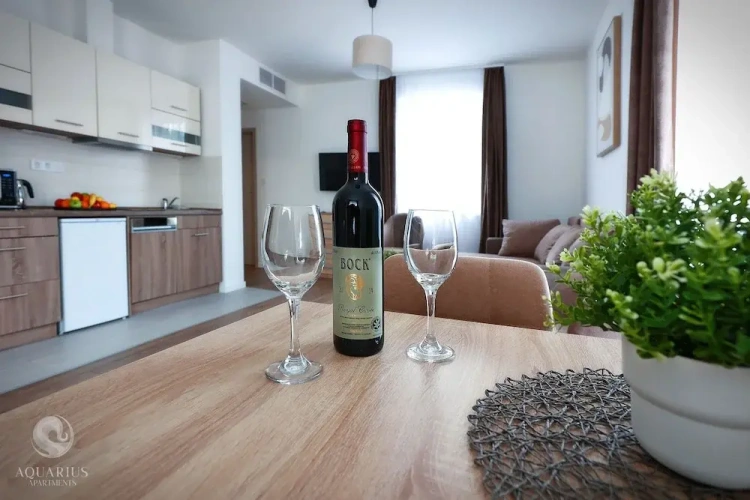 Luxury Apartment