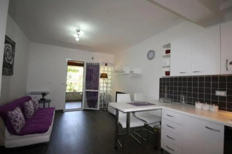 Apartment Poropat