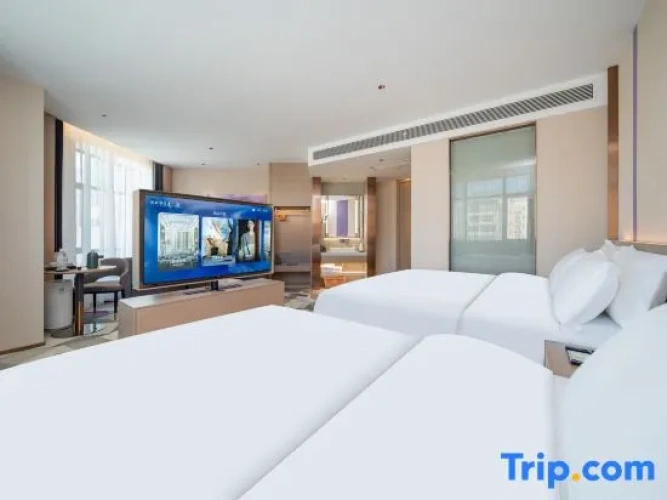 Superior Single Suite
