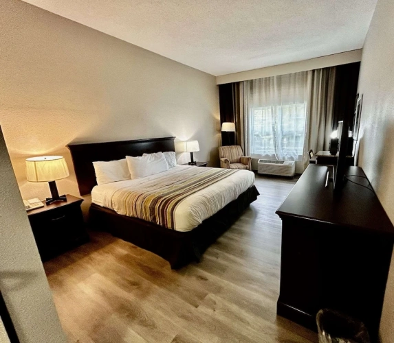 Standard Double room