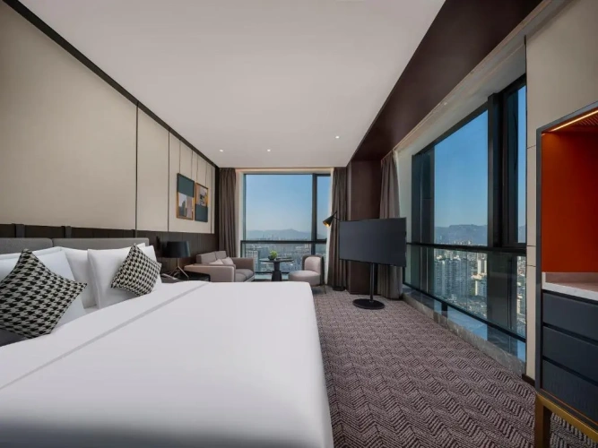 Deluxe Double room with city view