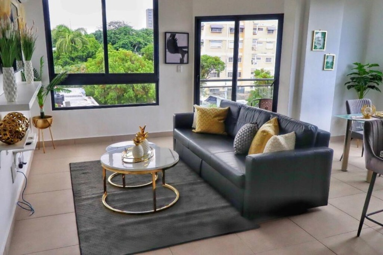 1 Bedroom Apartment