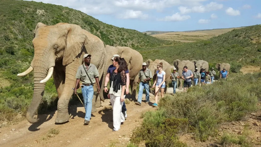 Indalu Game Reserve