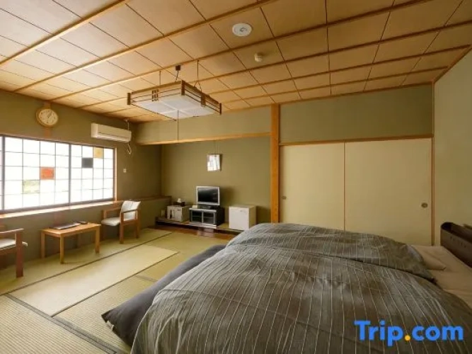 Standard Twin room with mountain view