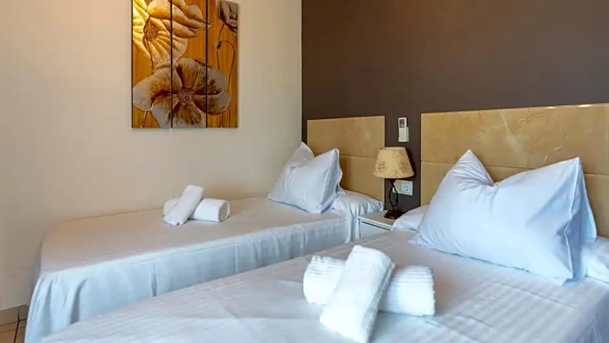 Standard Double room with balcony and with view