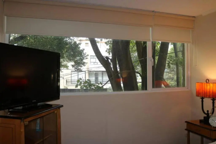 Luxurious & Chic 2 BR Apt Polanquito Lincon Park