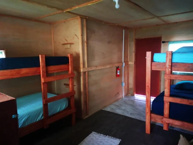 Bed in Dorm