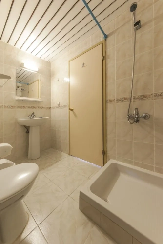 1 Bedroom Standard Apartment