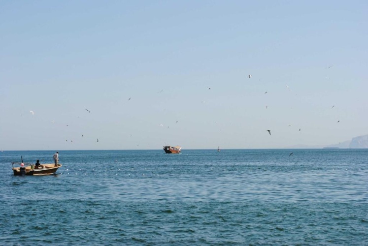 Atana Khasab photo 26