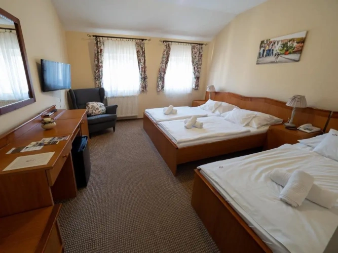 Standard Triple room