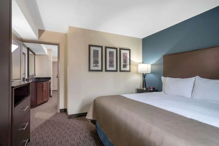 1 Bedroom Superior Double Suite