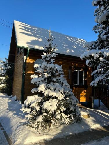 Фотография номера Коттеджа Дом посуточно