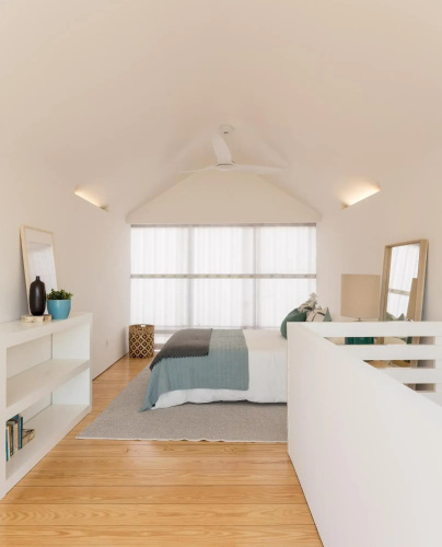 Skinny House