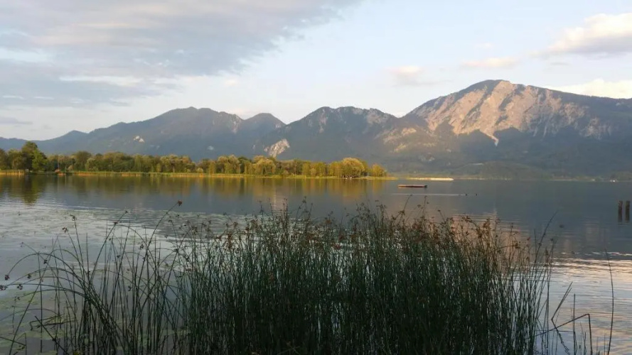 Aparthotel Alpenpark