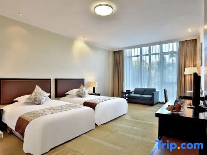Superior Double room with mountain view