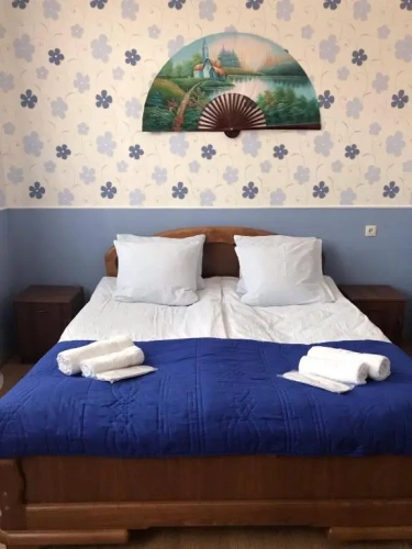 Standard Double room with mountain view