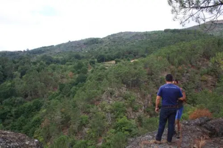 Retiro Da Arminda